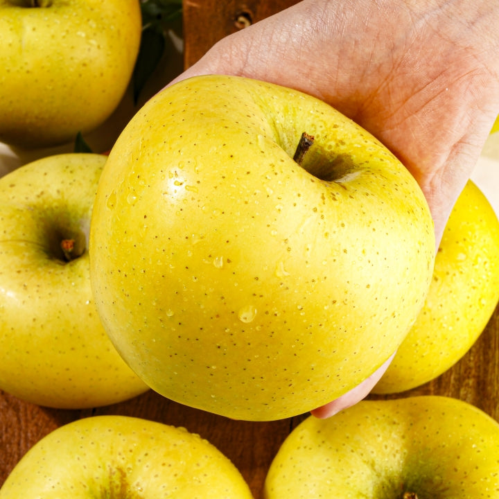 [지리산으뜸이네] 황금 사과 시나노골드 특품 11과 선물세트 (4kg)