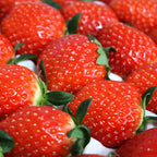 [과일꾼] 고당도 설향딸기 특품 700g (20~30구/1팩)