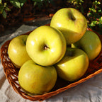 [지리산으뜸이네] 황금 사과 시나노골드 특품 9과 선물세트 (3kg)