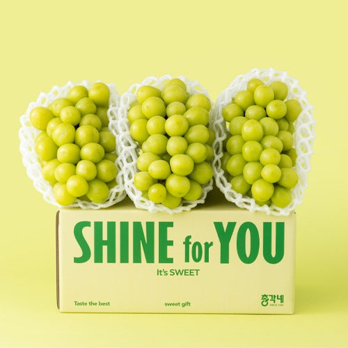 [총각네] 프리미엄 샤인머스캣 선물세트 2kg 내외 (2-3송이/특품)