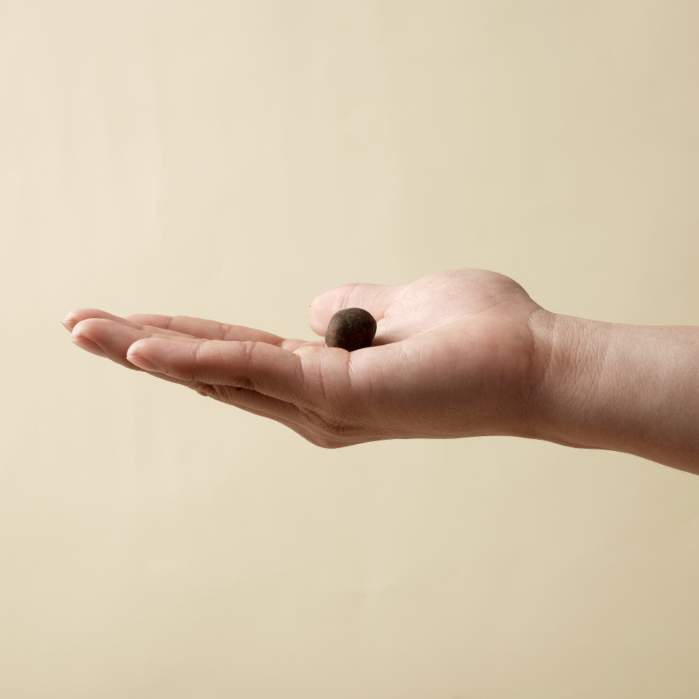 [침향 30%] 김오곤 원장의 프리미엄 침향단 (4.5g x 100환)