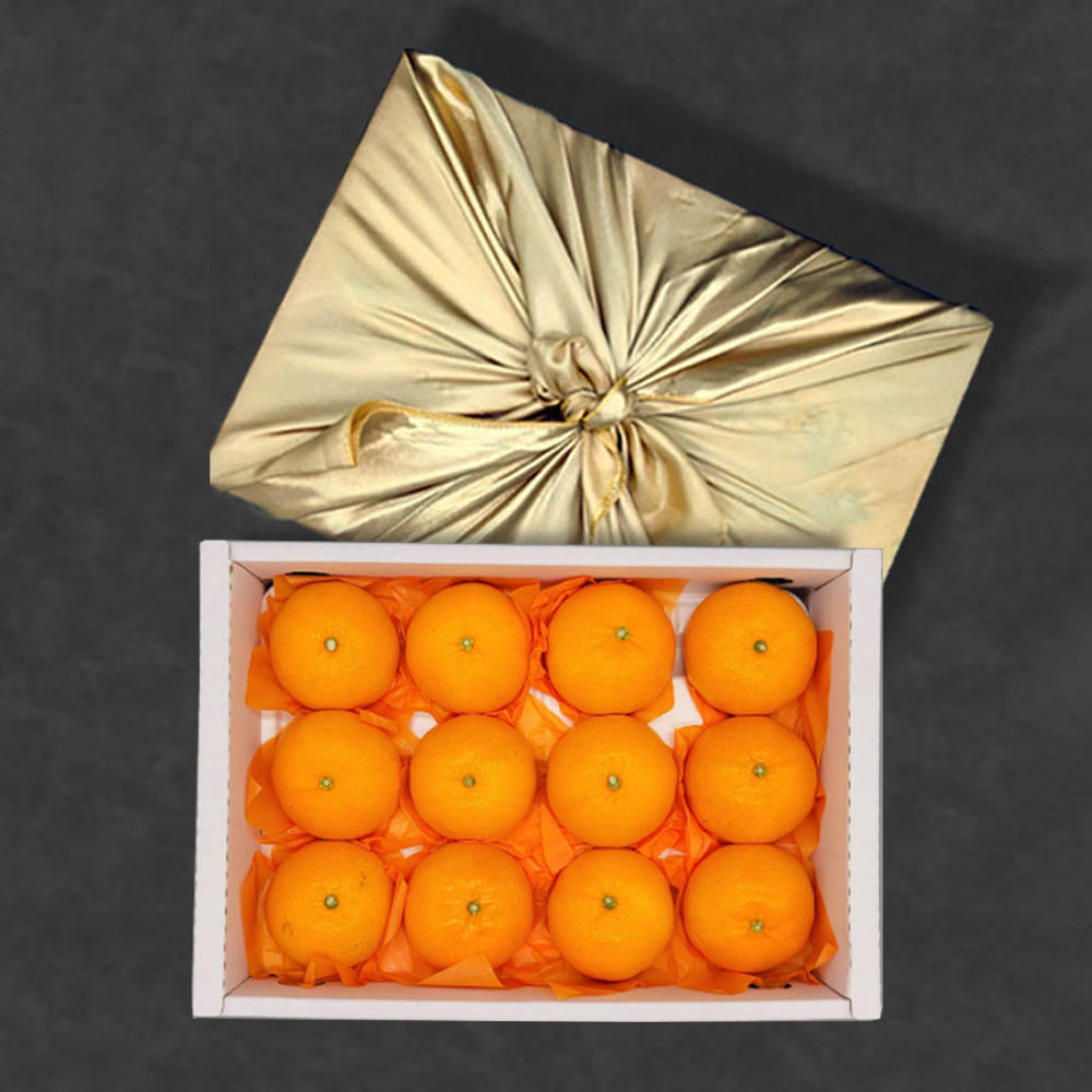[과일선물][보자기 포장] 천혜향 3kg 선물용 (중대과 14~18과)