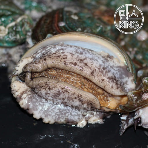 [대운수산] 산지직송 완도 참전복 2kg (18-20미/산소포장)