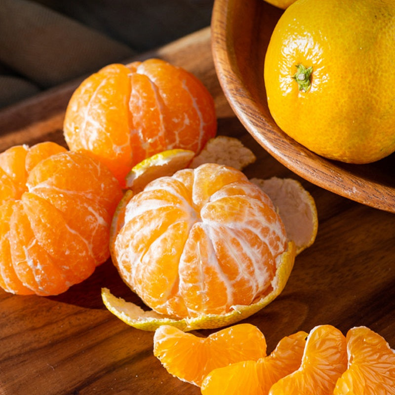 [대한민국농수산] 제주 감귤 4.5kg (로얄과/1박스)