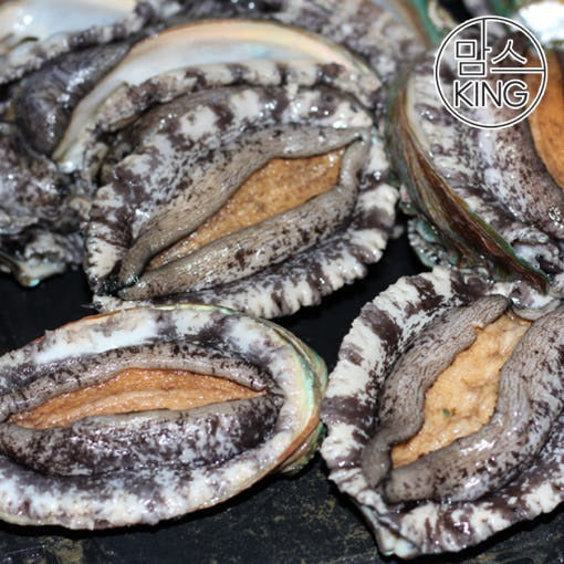 [대운수산] 산지직송 완도 참전복 2kg (18-20미/산소포장)