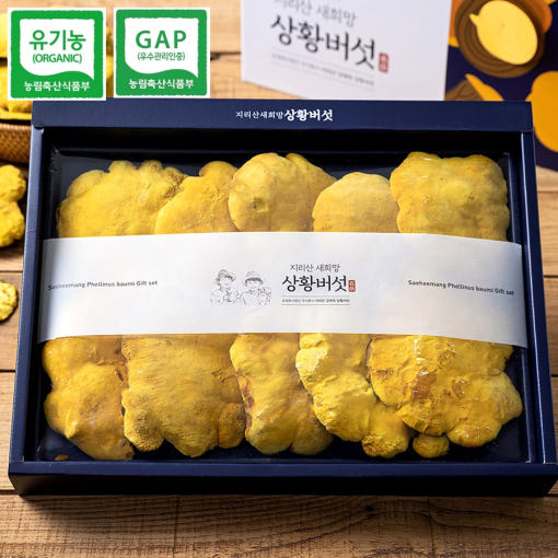 유기농 지리산 장수 상황버섯 특상품 250g 선물세트 (원형)
