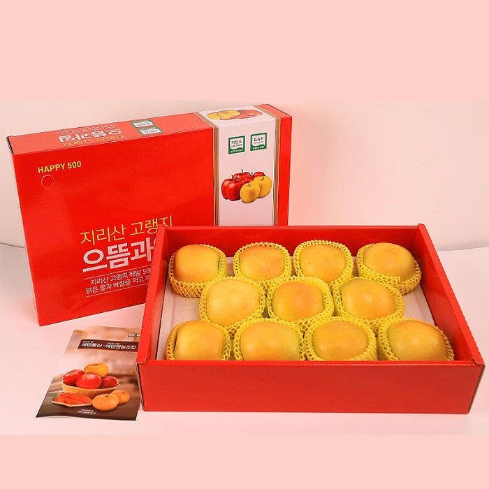 [지리산으뜸이네] 황금 사과 시나노골드 특품 11과 선물세트 (4kg)